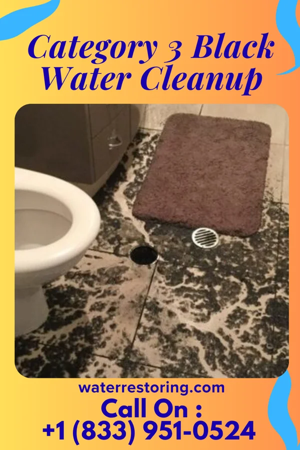 Category 3 Black Water Cleanup in Navy, VA