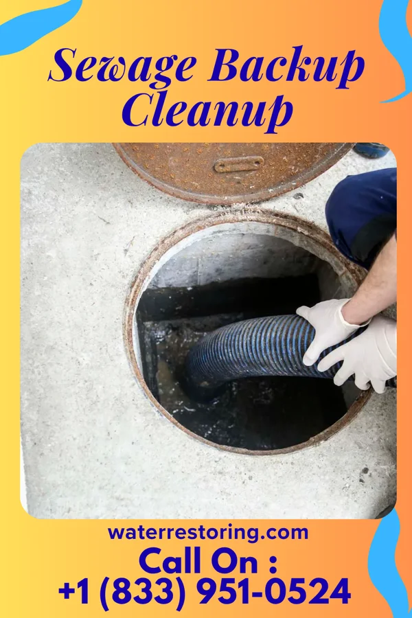 Sewage Backup Cleanup in Navy, VA